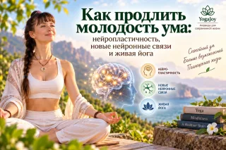 Балансы